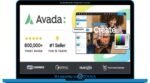 Avada Theme Responsive Multi Purpose Theme