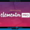 Elementor
