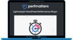 Perfmatters WordPress Performance Plugin