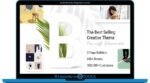 Bridge – Creative Multipurpose WordPress Theme
