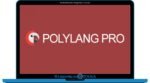 Polylang Pro