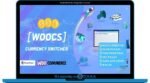 WOOCS – WooCommerce Currency Switcher Professional