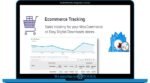 MonsterInsights eCommerce Addon