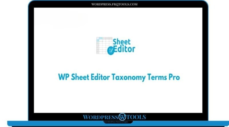 WP Sheet Editor Taxonomy Terms Pro