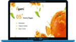 Ogami Theme – Organic Store WordPress Theme