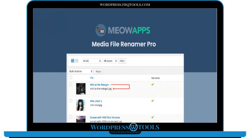 Media File Renamer Pro