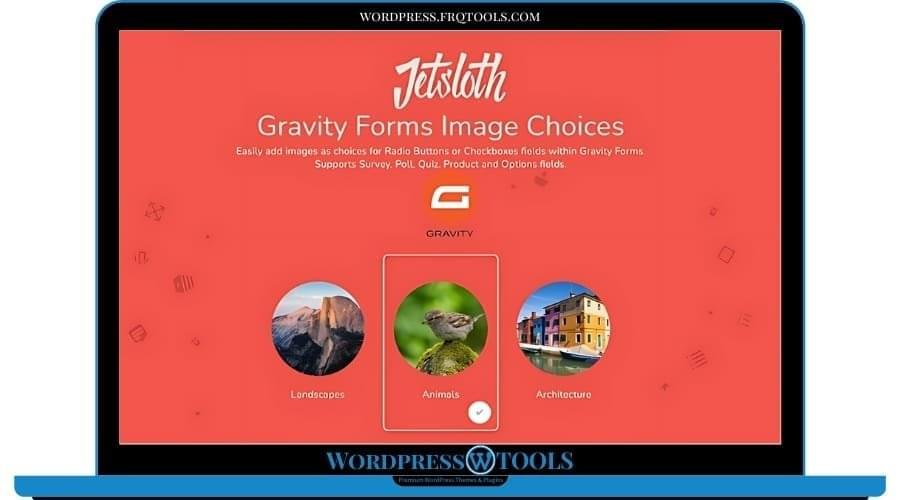 Jetsloth Gravity Forms Image Choices
