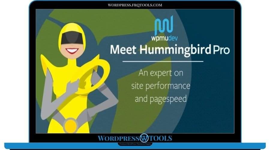 WPMU DEV Hummingbird Pro