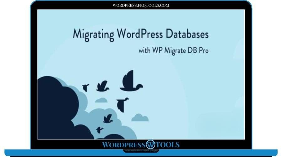 WP Migrate DB Pro – WordPress Site Migration Plugin